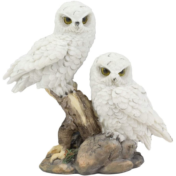 Loon Peak® Ebros Mystical Two White Snowy Baby Owlets Perching On Tree